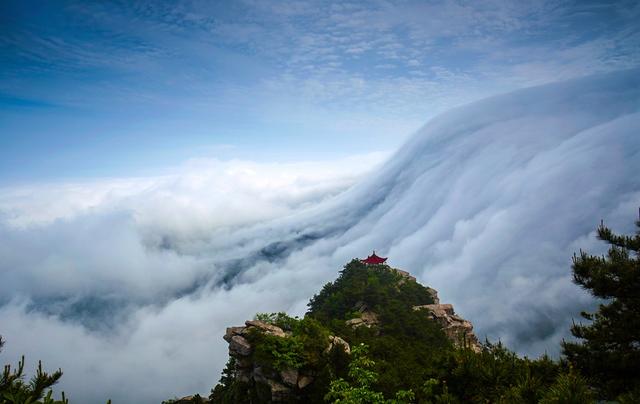 一花一瀑一云烟，庐山春意正当时