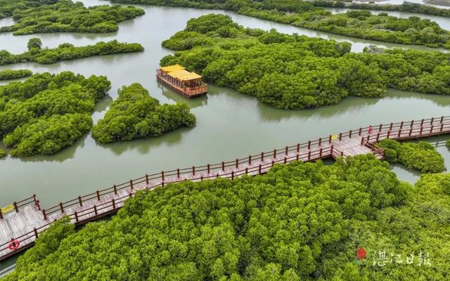 官方认证|湛江这两条遛娃线路，有料！