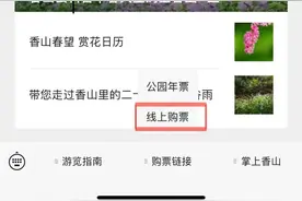 出行、购票、路线、活动，“五一”假期香山公园游园攻略来了图片