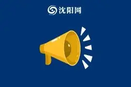 沈阳这些人可申办！免游览费、免乘车费、免挂号费！图片