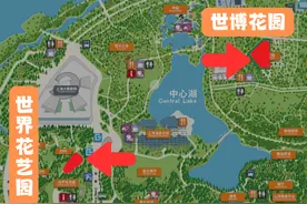 上海世博文化公园：撒播黑麦草草坪停止开放，两片草坪帐篷区未封闭图片