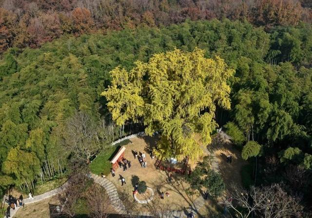 刷屏了巢湖这里，美了600年