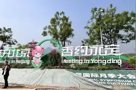 期待！40年来首次落地中国——图片