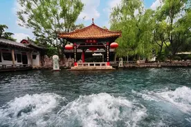 “山东车牌之歌”爆火出圈 看“鲁系闷闷”拉来哪些好东西？图片