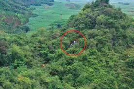 出不来了！柳州男子与同伴进洞穴抓野生鱼，爬到100米处脚一滑……图片