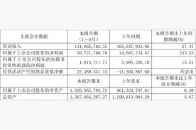 卓易信息：2023年上半年净利润5072.18万元 同比增长245.33%图片