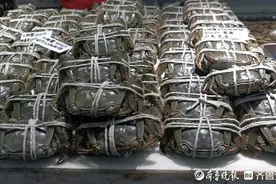 节后螃蟹便宜了！探访济南市场：有商家较节前降价一半图片