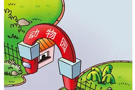 在动物面前做好“人类”，让动物园成为动物家园图片