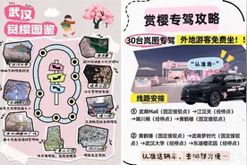 今起，武汉赏樱专车免费坐，攻略来了！图片