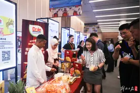 第七届进博会倒计时100天：多家世界500强企业和龙头企业将首次参展图片