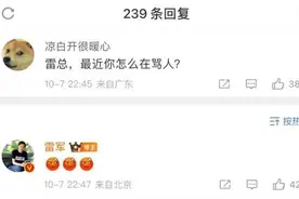 最近总听“雷军”在骂人“XX是SB”，专家：玩AI要慎重，严重者或担刑责图片