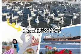 international！原来荣成如此国际范！图片