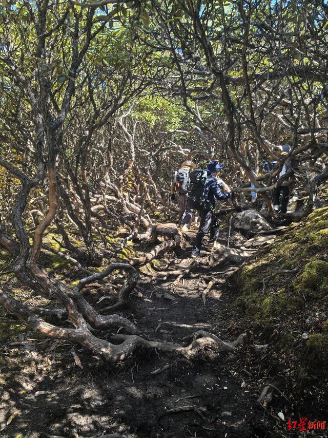 川西登山徒步乱象调查②丨高海拔徒步成“最危险户外活动”之一 甘孜州拟出台措施加强登山活动监管