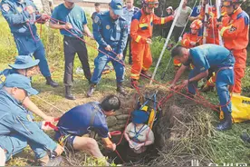 误坠深井又遭蛇咬 十指紧抠井壁54小时图片