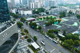 下足“绣花功夫 ”服务“大民生” 武汉动物园周边交通设施优化完善图片