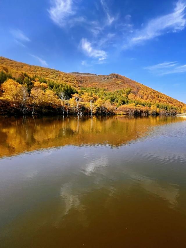 层林尽染，赴一场七彩森林的秋日之约