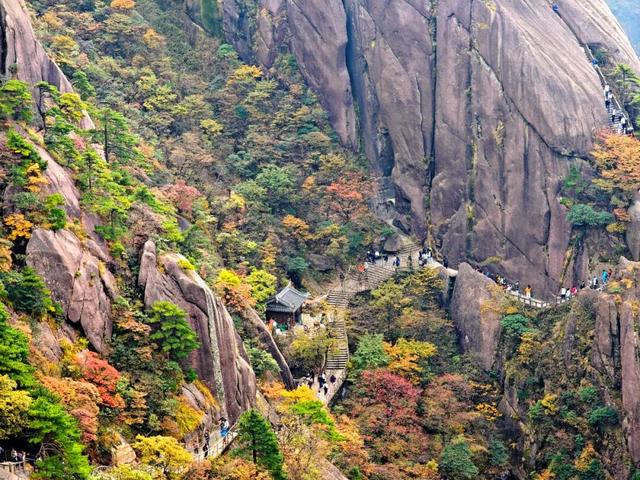 出片率100%！黄山风景区进入最佳赏秋期