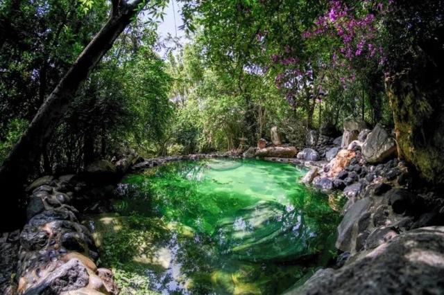 别宅家！赴一场20℃的暖冬旅居之约