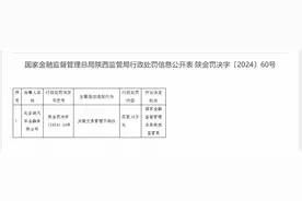 违规！“比亚迪系”金融机构再受处罚！图片