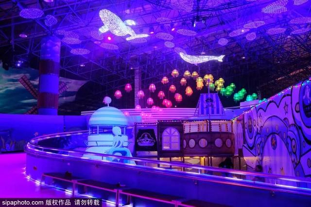 “疯狂动物城”原型，在北京找到了！