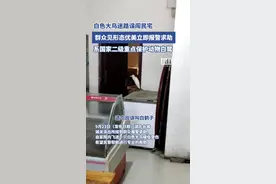 二级保护动物白鹭误闯民宅，湖北谷城警民联合救助放飞图片