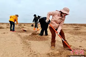 荒漠化和沙化面积“双缩减”见证甘肃民勤治沙史图片