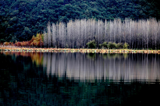 云新闻关注丨诗意旅居，云岭初冬氛围感超绝！