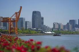 徐汇人，您有一份花展赏玩攻略待查收！图片