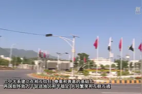 巴基斯坦总统重申巴坚定奉行一中原则图片