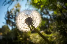 阳强则寿，阳衰则夭！八种提升人体阳气的方法图片