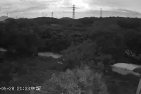 “突然一声巨响，天都被照亮了！”，广东一地疑现火流星，很多人拍到了→图片