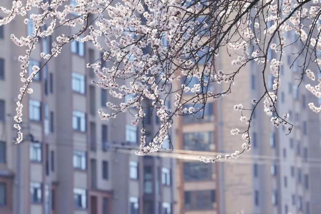“动”“静”两相宜～颜值天花板～