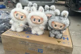 实探衡水盗版LABUBU大集：像卖菜一样摆摊卖，商家称如今订单变少生意难做图片