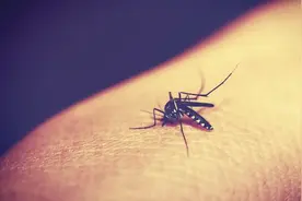 太烦了！最近常被“不速之客”折腾整晚睡不着，只因少做这件事...图片