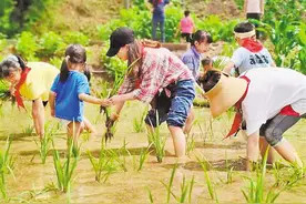 300余个城市家庭“打卡”偏远山村图片