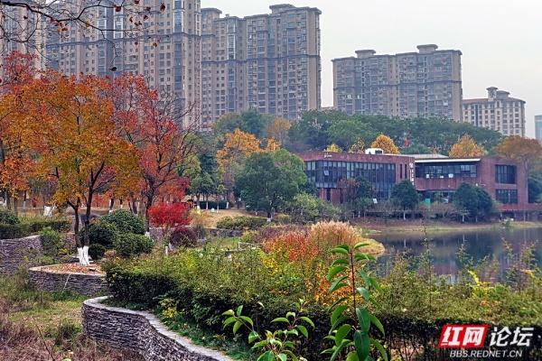 圭塘河生态公园：时光漫过木栈道，城与自然撞满怀