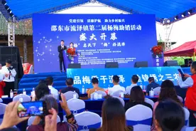 湖南邵东市流泽镇第二届杨梅助销活动开幕图片