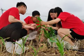 拼多多引领电商西进：科技小院育人才，补贴物流改善西部电商生态图片