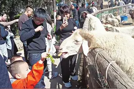 百兽啸啼间 享受亲子时光图片