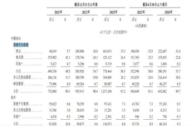 融了11轮的货拉拉，再闯IPO！图片