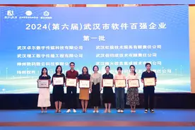 武汉2024年软件行业竞争力百强榜单出炉图片