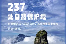 海报｜贵州书写人与自然和谐共生的时代答卷图片