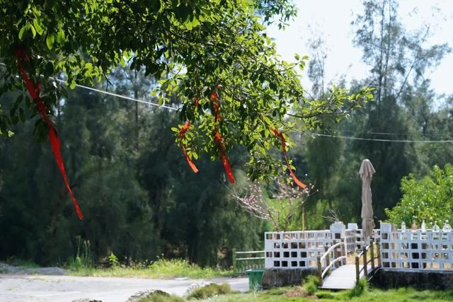 为了在这打卡，特意去了趟前岐！