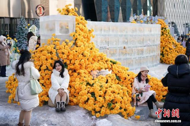 黑龙江哈尔滨：“冰封玫瑰”限定回归