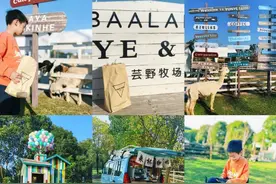 把车开到绿野仙踪中露营，就这样醉在风里图片