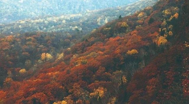 不来珲春，怎知秋色如许？（惊艳美图来袭）