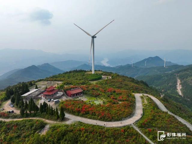 姹紫嫣红！福州进入春日高颜值时刻！