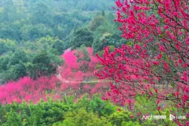 中秋国庆长假玩转粤东西北——全攻略带你游玩梅州图片