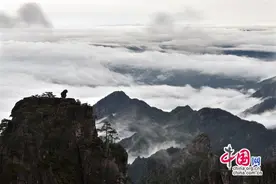 只有一个黄山：春水绵绵，云海涛涛，像最美画卷图片