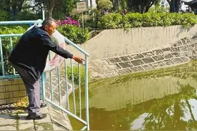 纵身一跃 攀枝花74岁独臂老兵勇救落水女童图片